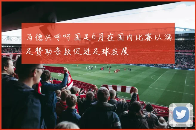 马德兴呼吁国足6月在国内比赛以满足赞助条款促进足球发展